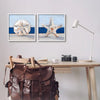 Sand Dollar and Star Fish Two-Piece Framed Wall Art