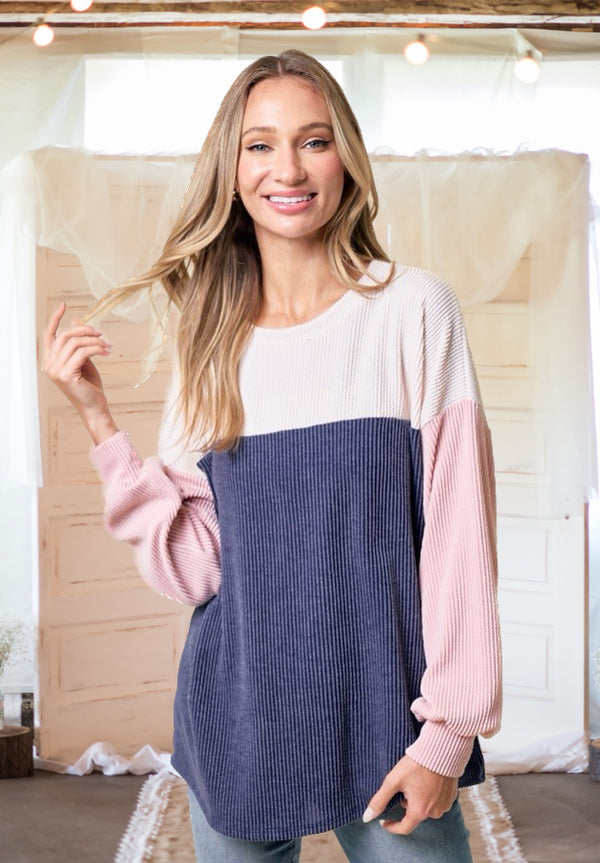 Rhyme and Reason Color Block Top in Oatmeal/Blush/Navy - Curvy